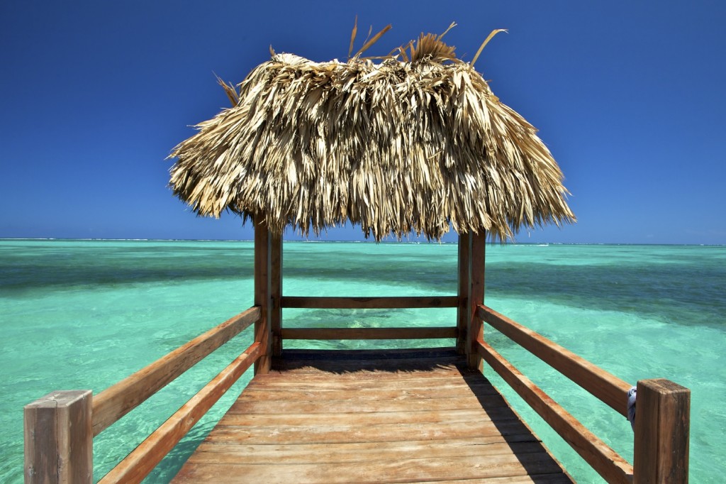 thatch hut tropical beach